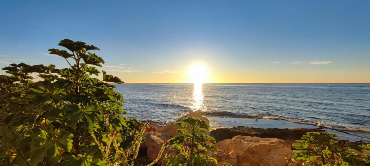 Beachside Apartment In ตอร์เรเวียคา ภายนอก รูปภาพ